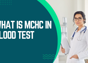 What is MCHC in Blood Test and Why is it Important for Your Health?