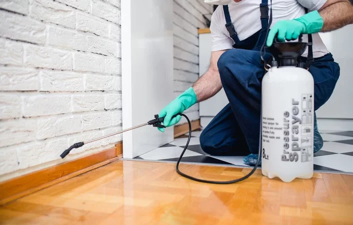 Choosing a pest control firm – What should you keep in mind?